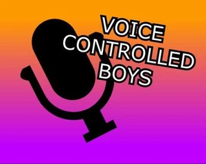 Voice Controlled Boys