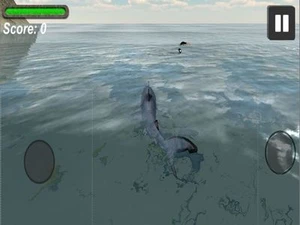 Shark Simulator 3D 2016 - Ocean animals