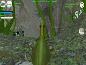 Praying Mantis Simulator 3D