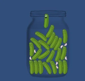 Pickle theory