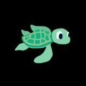 Shelly the Turtle