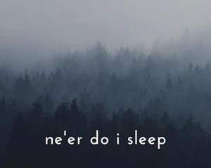 Ne'er Do I Sleep