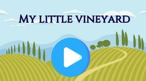 My Little Vineyard