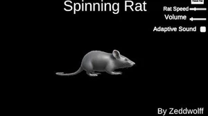 Spinning Rat
