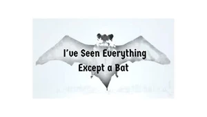 I've Seen Everything Except a Bat
