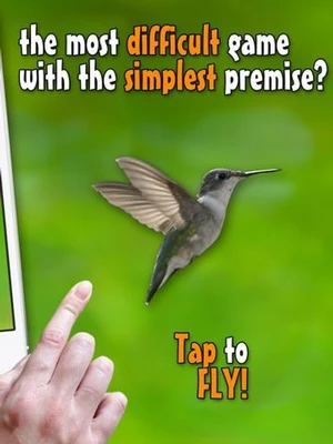 Real bird: Tap to fly!