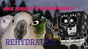 One Night with Spong 3: Rehydrated!