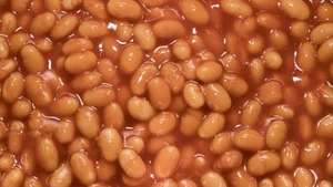 stare at bean