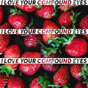 i love your compound eyes