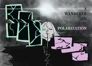 A Wanderer in the Polarization