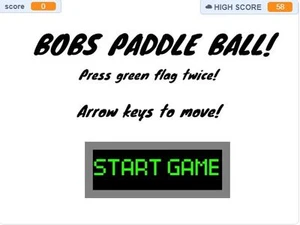 Bobs Paddle Ball
