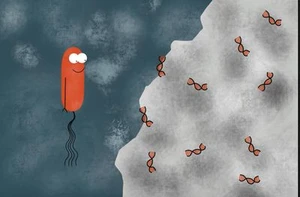 Zeze Against Antibiotics: A Soil Bacterium's Quest