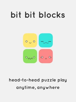bit bit blocks